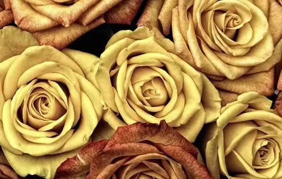 Composizione floreale per lapidi e tombe nel cimitero