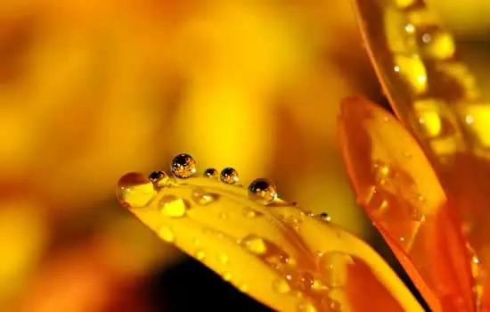 Addobbi funebri per cimitero